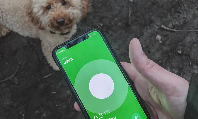 AirTag für Hunde