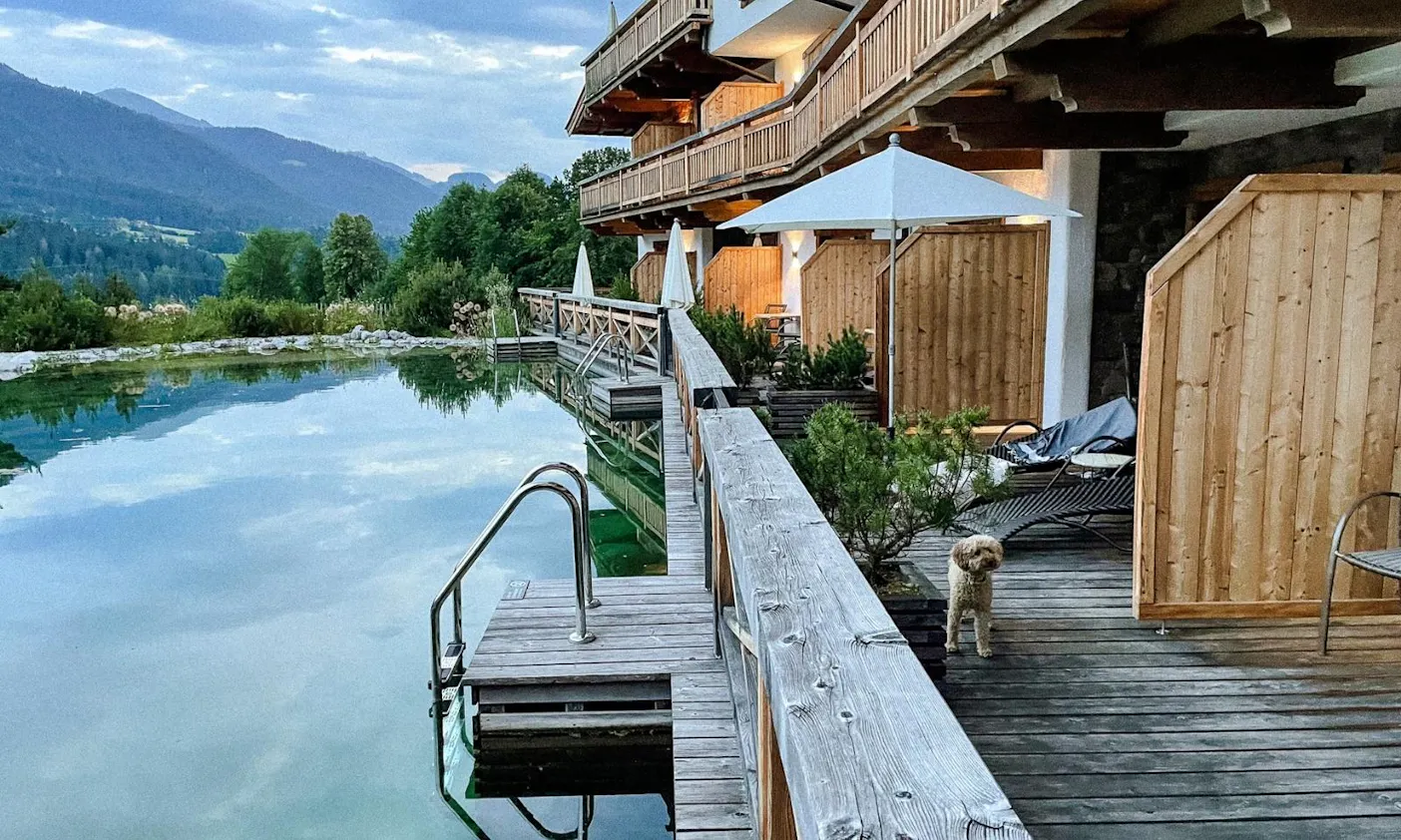 Hund auf der Terrasse eines der Zimmer mit Zugang zum See der Kaiserlodge in Österreich