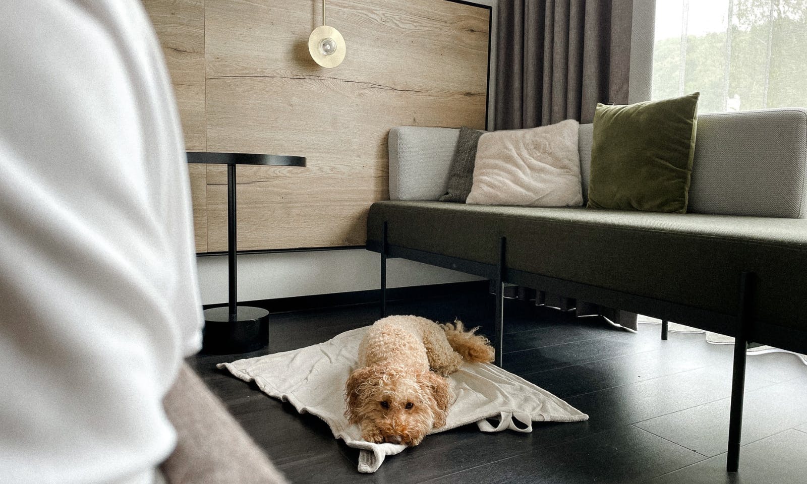 IBB Hotel Eichstätt mit Hund