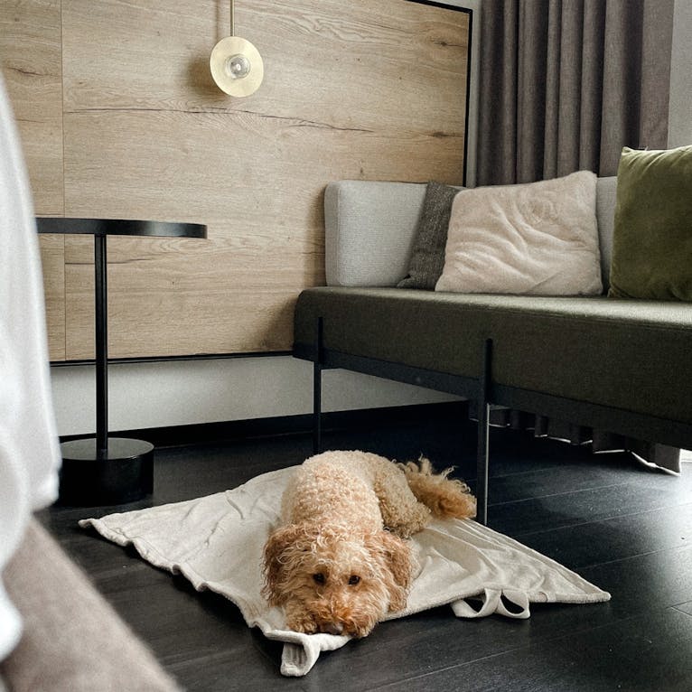 IBB Hotel Altmühltal-Eichstätt