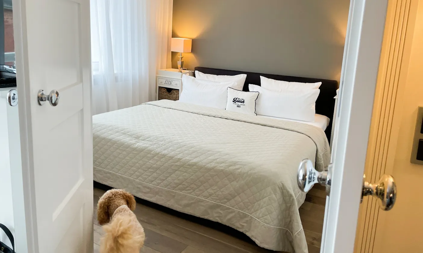 Suitehotel Windhuk auf Sylt mit Hund