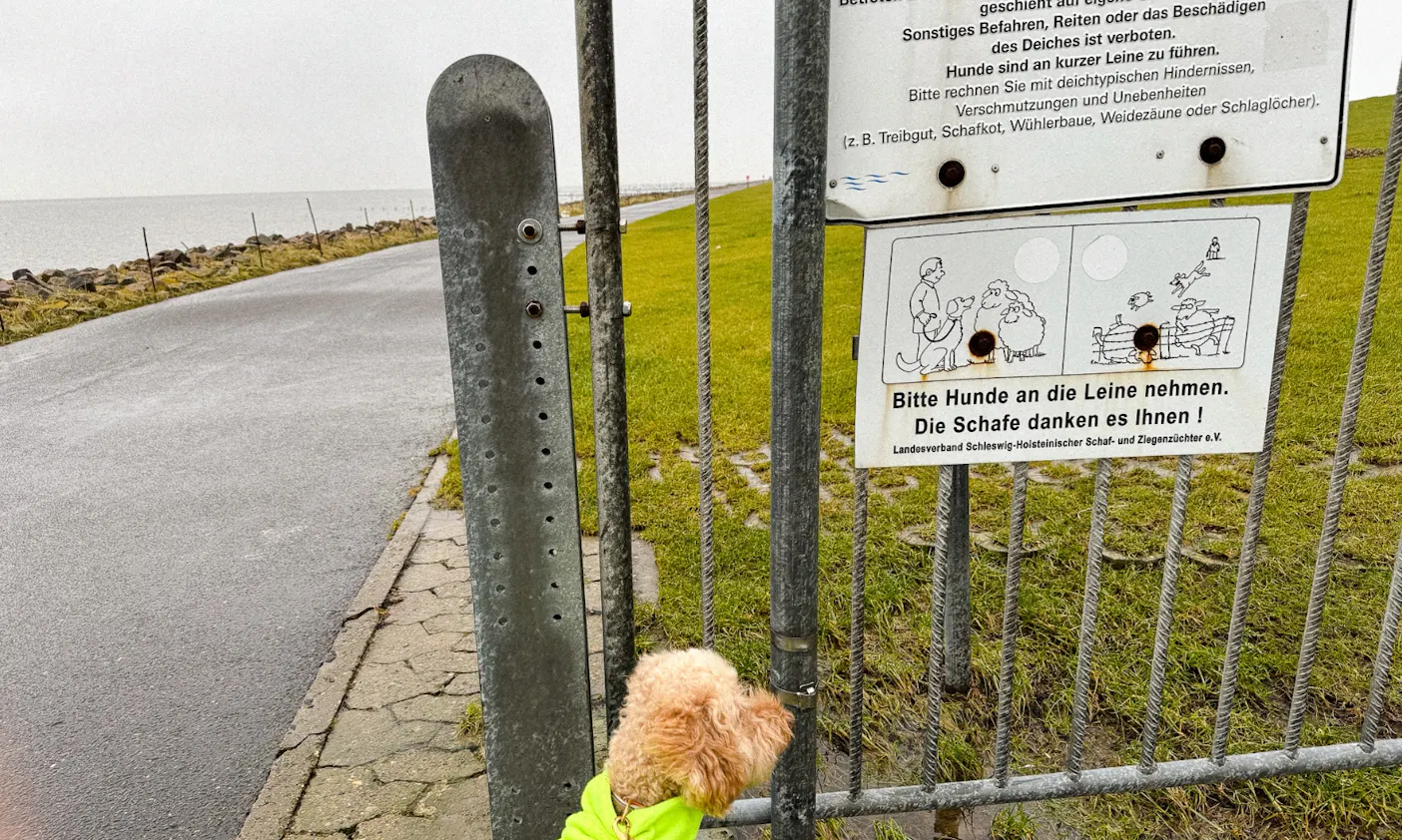 Regeln für einen hundefreundlichen Urlaub in Büsum