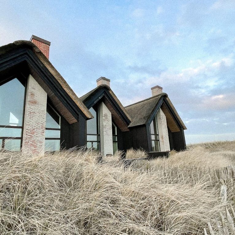 hundefreundlicher Strandvilla Dänemark