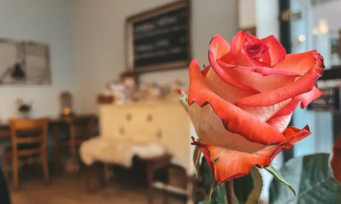 Café Kleinod in Flingern
