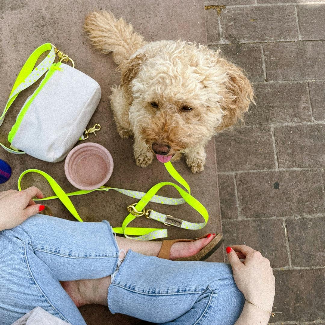 Stylische Hundeleine für den Sommerurlaub von Hundeklunker