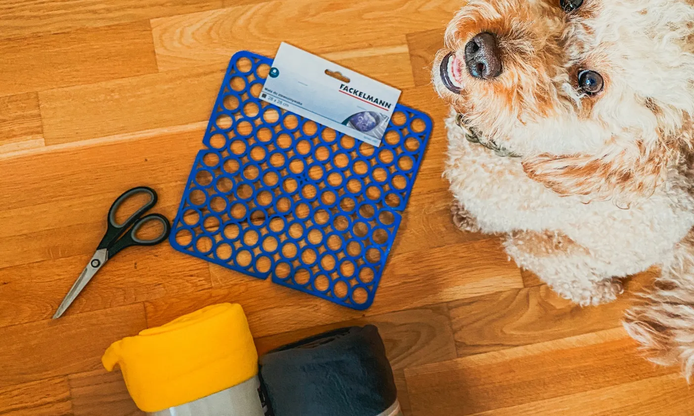 Schnüffelteppich für Hunde