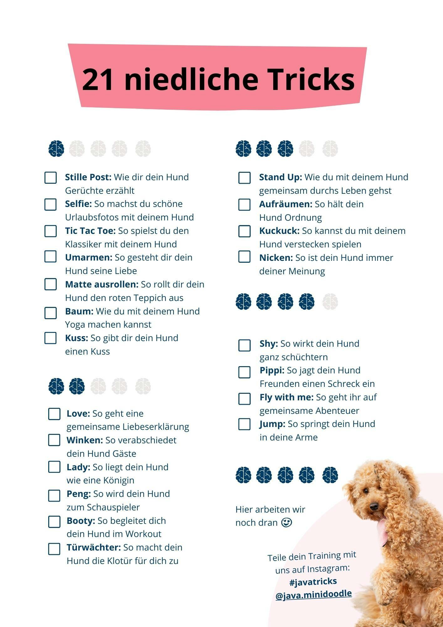 Garderobe Håndfuld Almindelig Hundetricks lernen mit dem E-Book: 21 niedliche Hundetricks
