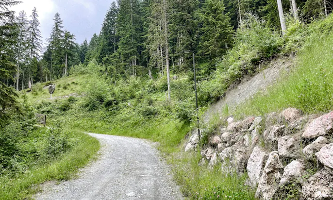 Hundefreundliche Alm Treichlhof in Tirol am Wilden Kaiser