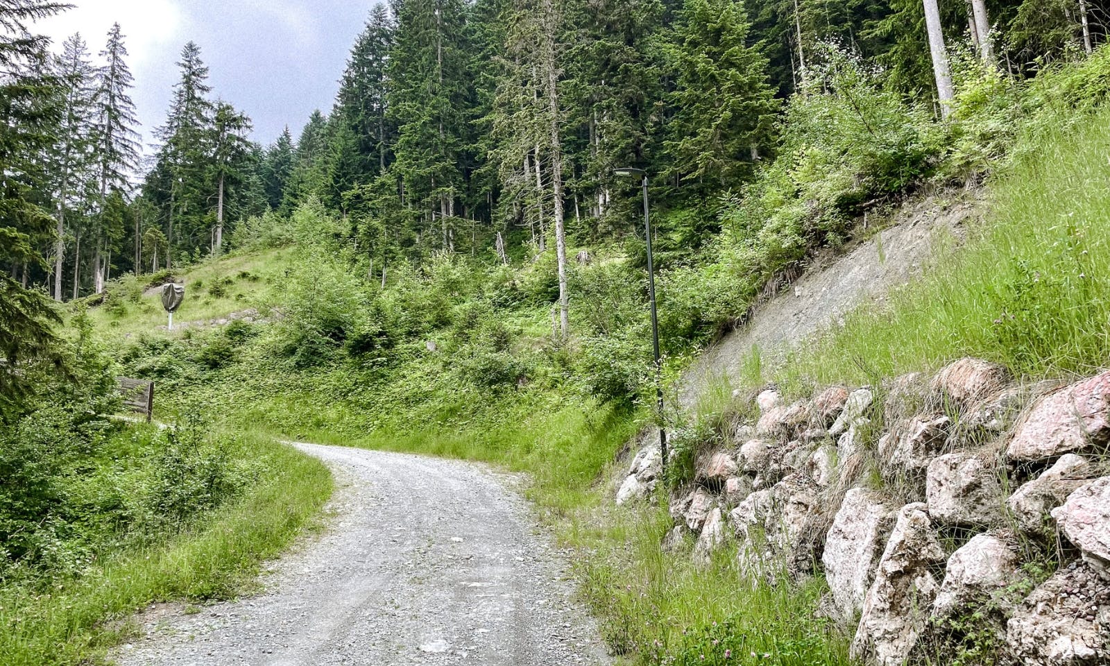 Hundefreundliche Alm Treichlhof in Tirol am Wilden Kaiser
