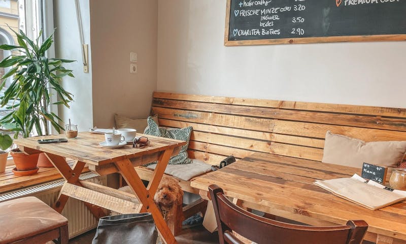 Café Hase in Aachen mit Hund