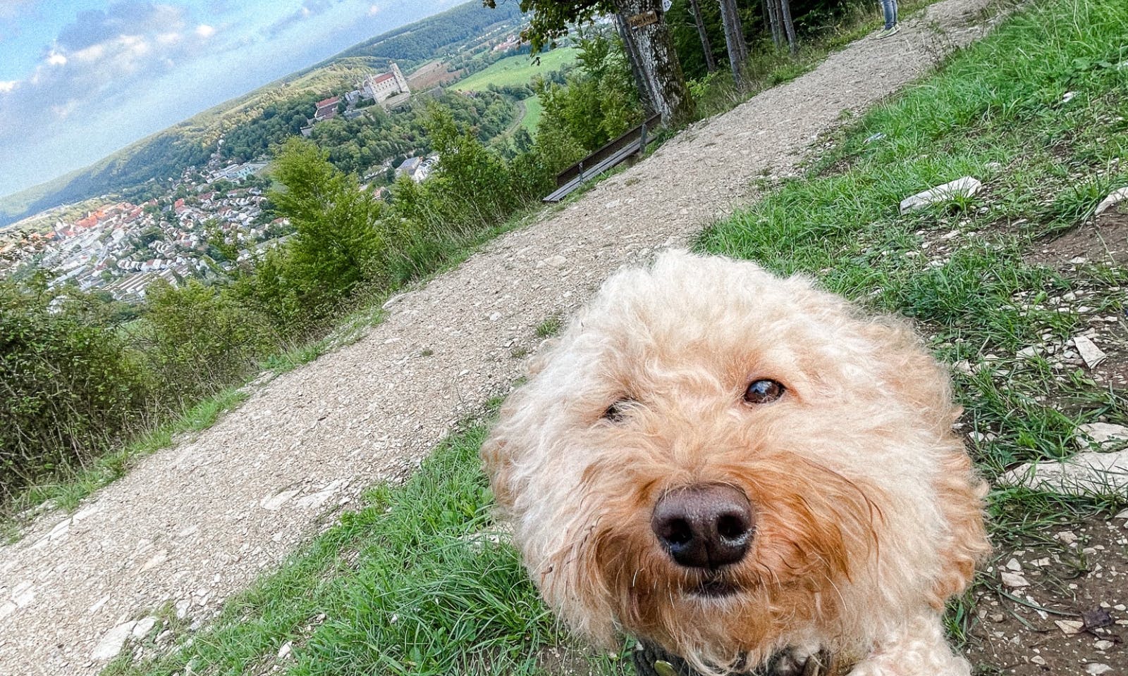 Wandern auf dem Altmühltal Panoramaweg mit Hund