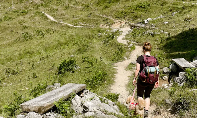 Wanderleine für kleine Hunde