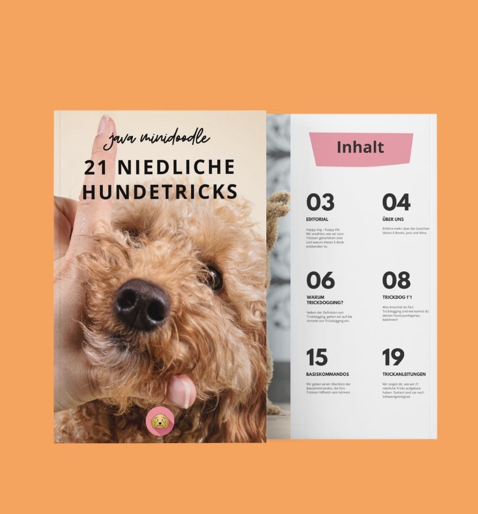 E-Book - 21 niedliche Hundetricks