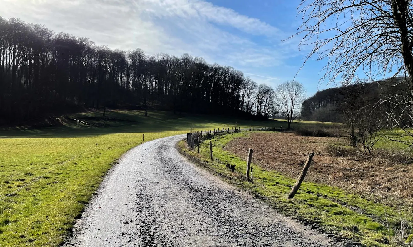 Wandern in Düsseldorf mit Hund