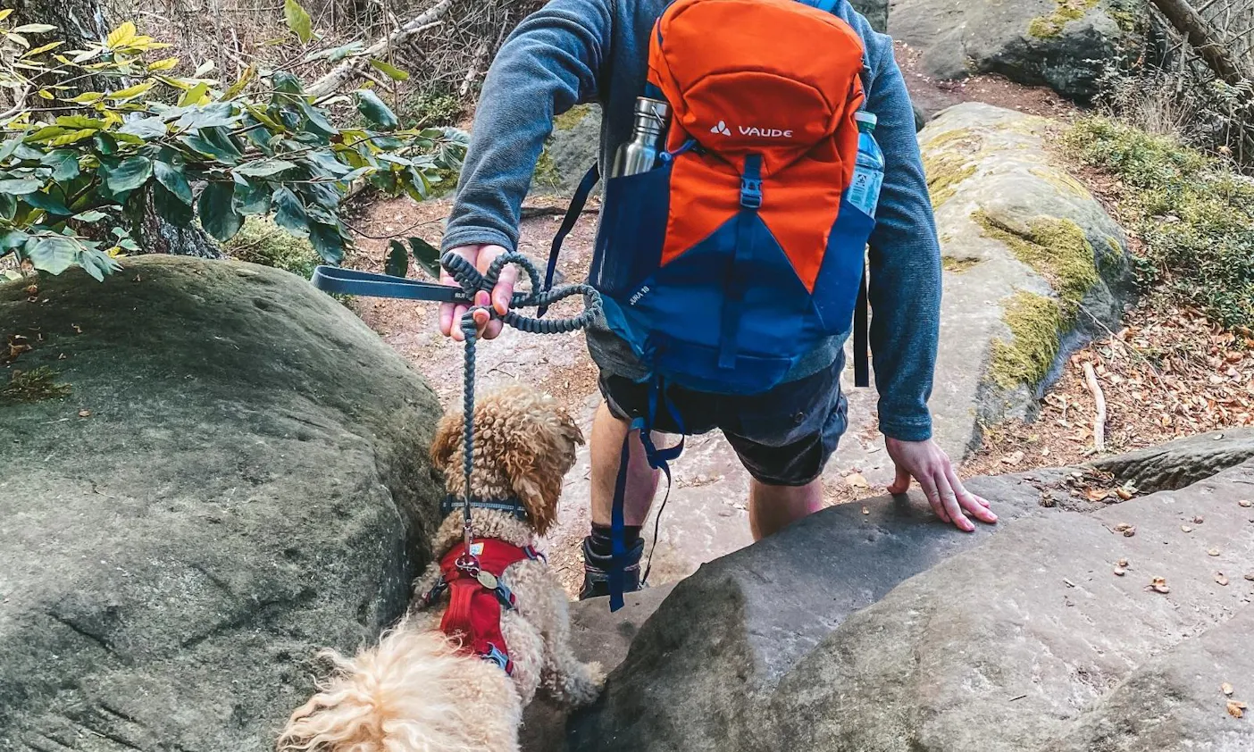 Wanderleine für Hunde