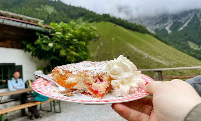 Marillenkuchen