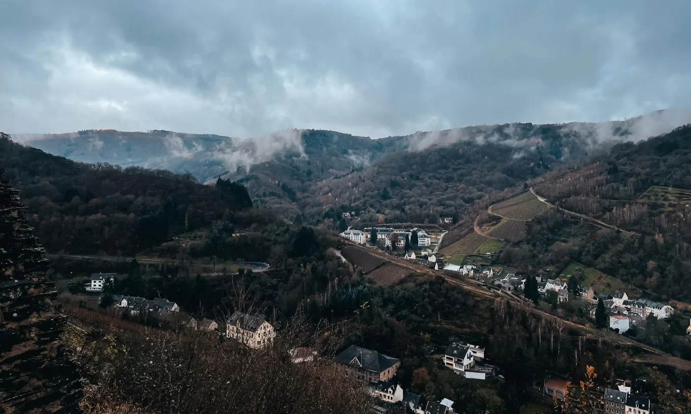 Wandern mit Hund zur Grevenburg an der Mosel
