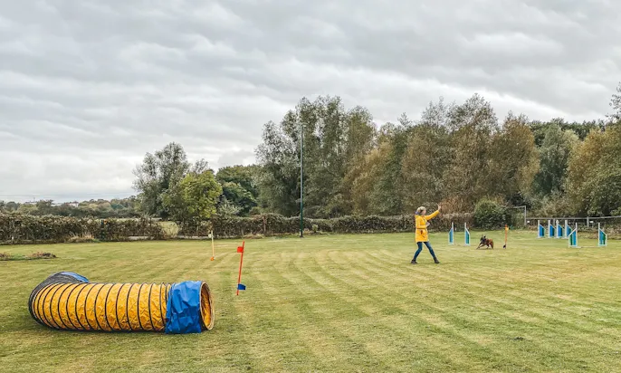 Hundetrainerin Dana Thiemel beim Hundesport Curving