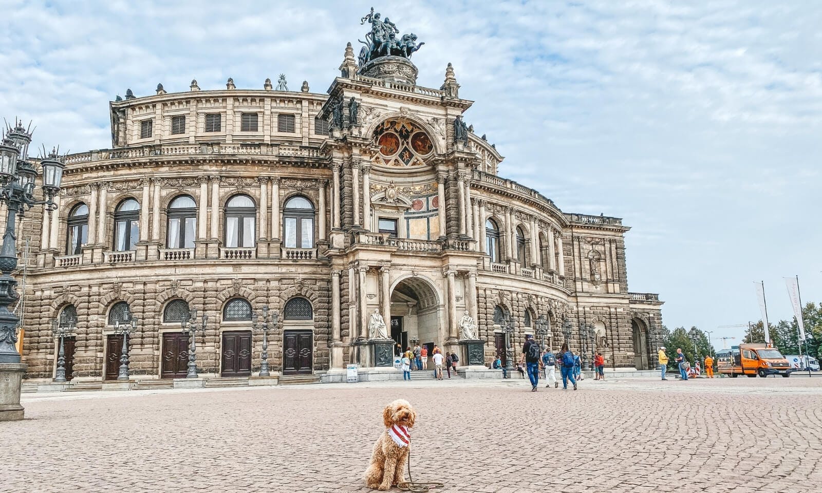 Pudel in Dresden mit Elbhunde Hundehalstuch