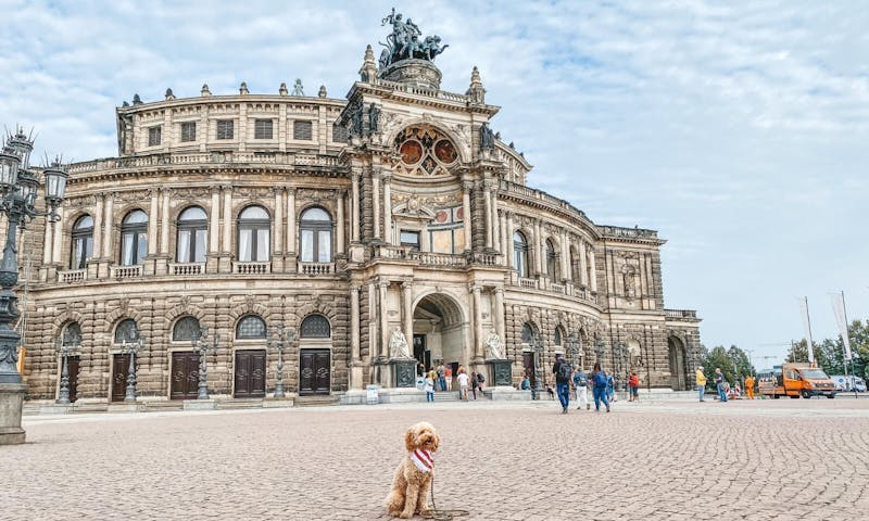 Dresden mit Hund erkunden