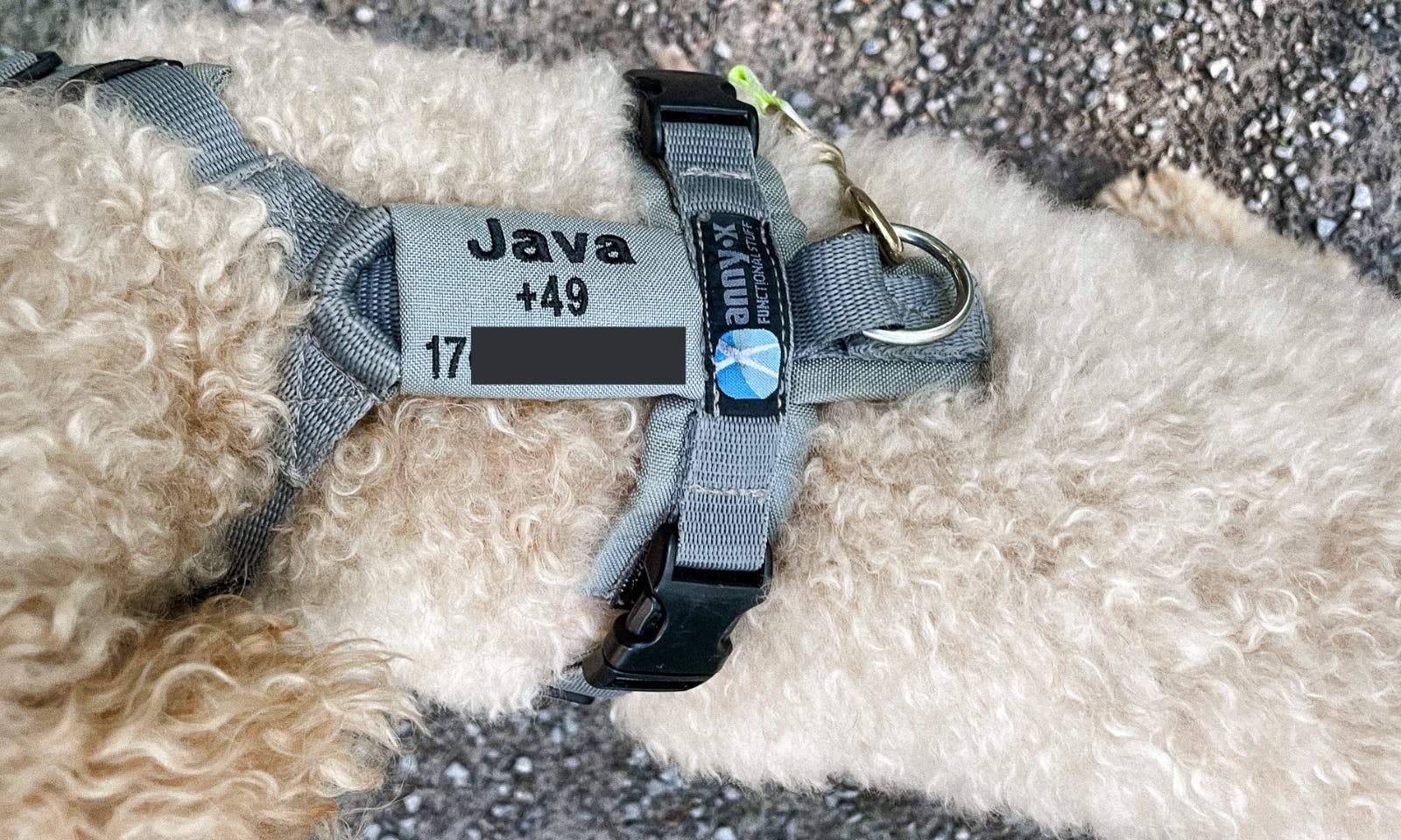 Telefonnummernschild für das Hundegeschirr Anny-X mit Klett und bestickter Telefonnummer und Hundenamen für mehr Sicherheit