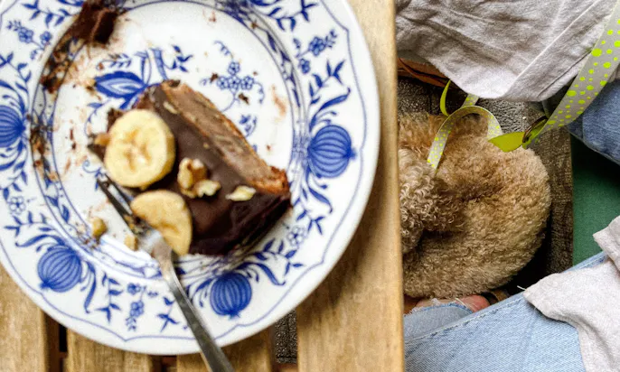 Hundefreundliches Café Nachbarschaft in Heidelberg
