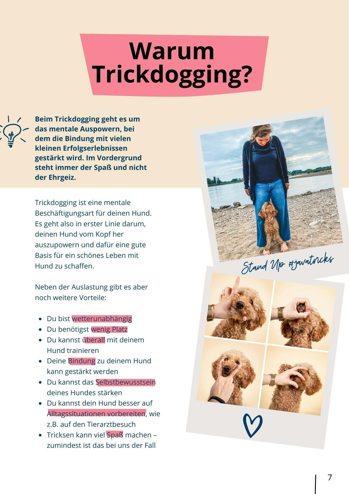 E-Book 21 niedliche Hundetricks - Warum Trickdogging