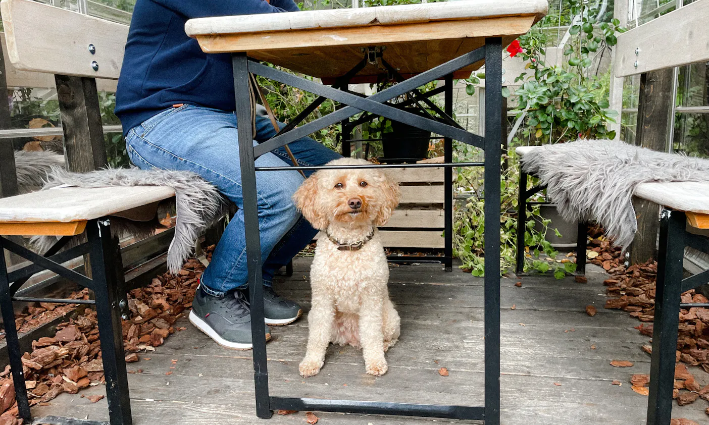 Café und Konditorei Wenning von der Familie Behrens