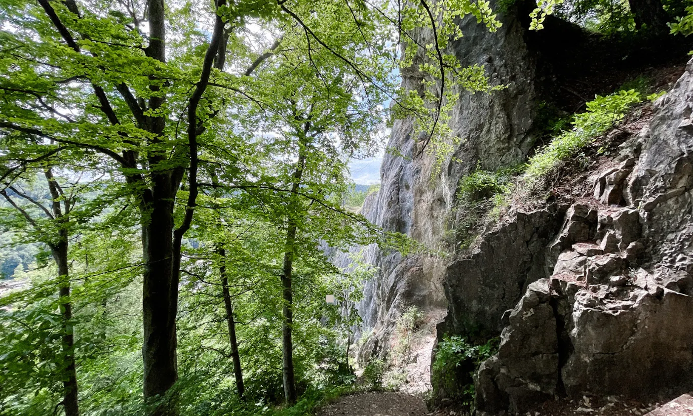 Wandern in der Schwäbischen Alm mit Hund