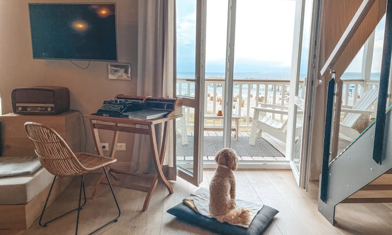 Urlaub mit Hund an der Ostsee: Beach Motel Heiligenhafen