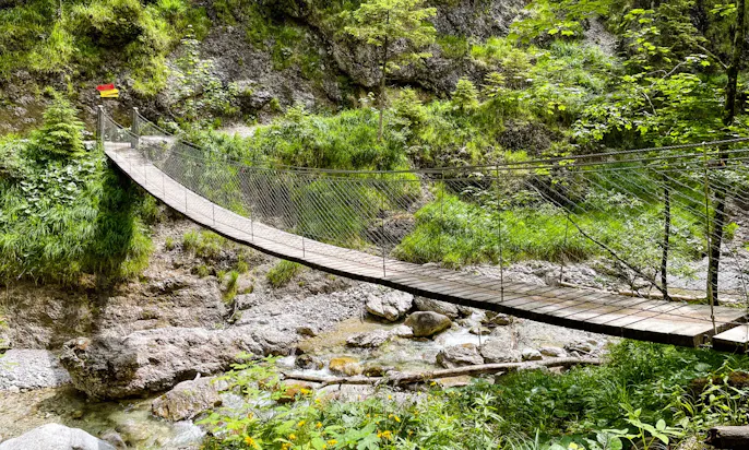 Grießbachklamm Hängebrücke mit Hund