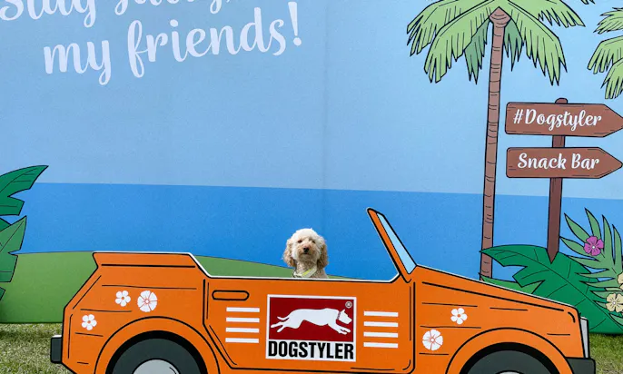 Tony Beachparty 2023: Petfluencer Awards Dogstyler Stand
