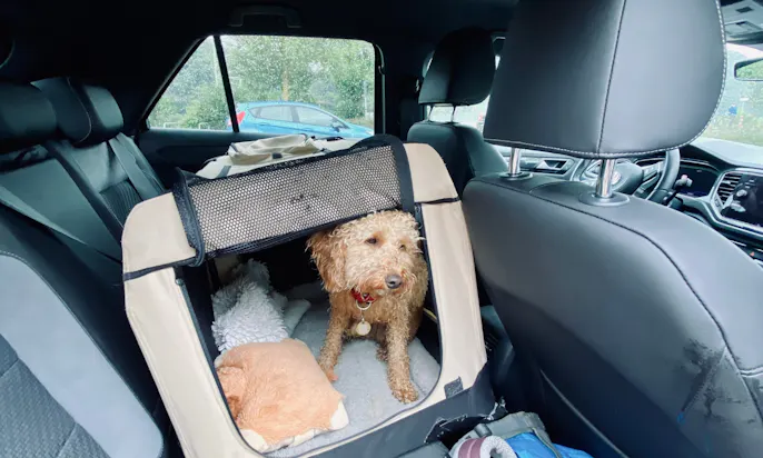 Faltbare Stoffbox im VW T-Roc ist unserer Meinung nicht für einen sicheren Transport geeignet