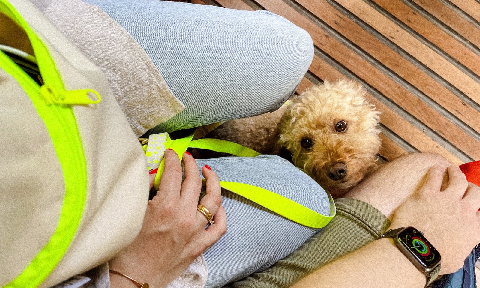 Passende Bauchtasche zur Hundeleine und Hundehalsband von Hundeklunker: Vegan und Stylisch für den Sommer in Neonfarbe