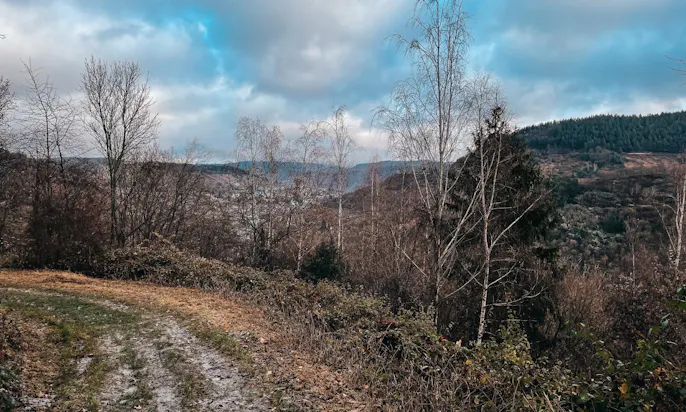 Blick nach Traben-Trarbach