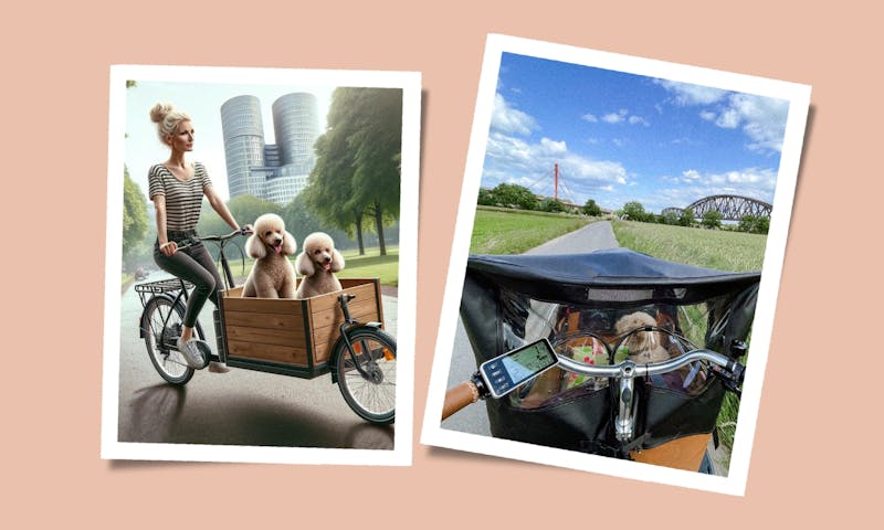 Sicherer Hundetransport: Alternativen zum Babboe E-Dog Lastenrad