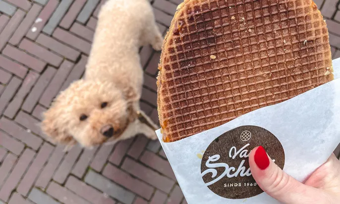 Niederländische Waffel auf dem Markt in Middelburg