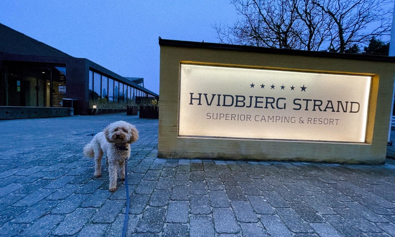Anleinpflicht für Hunde auf dem Hvidbjerg Strand Ferieparks