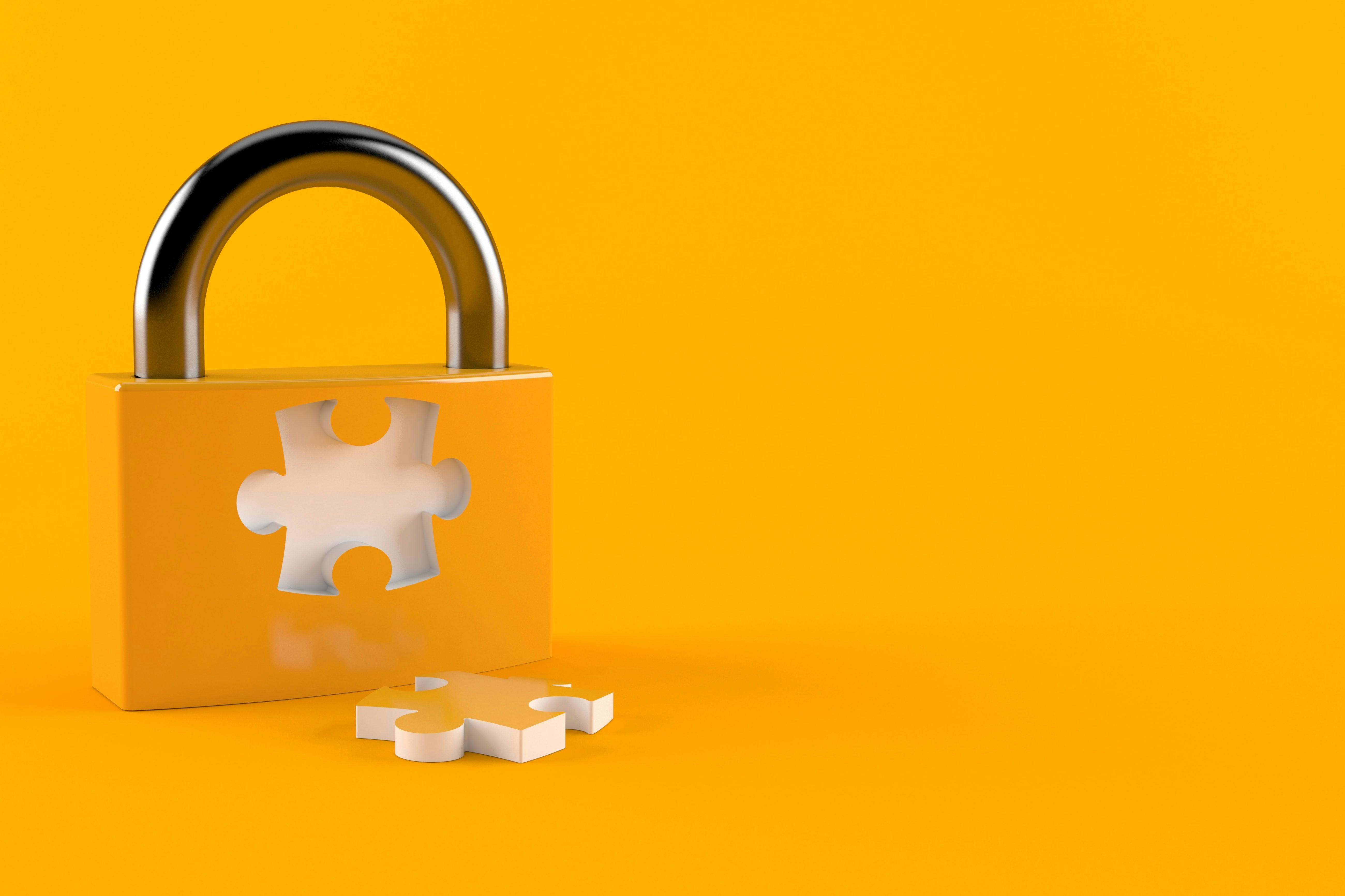 Solving the Privacy Puzzle Jellyfish US