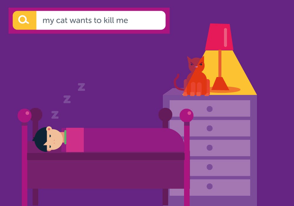 My cat wants to kill me illustration