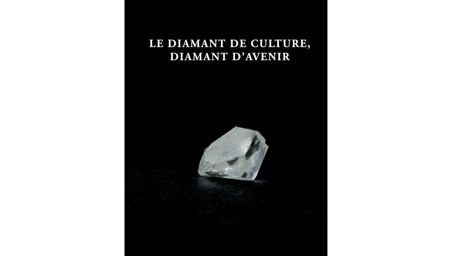 Le diamant de culture | JEM joaillerie éthique