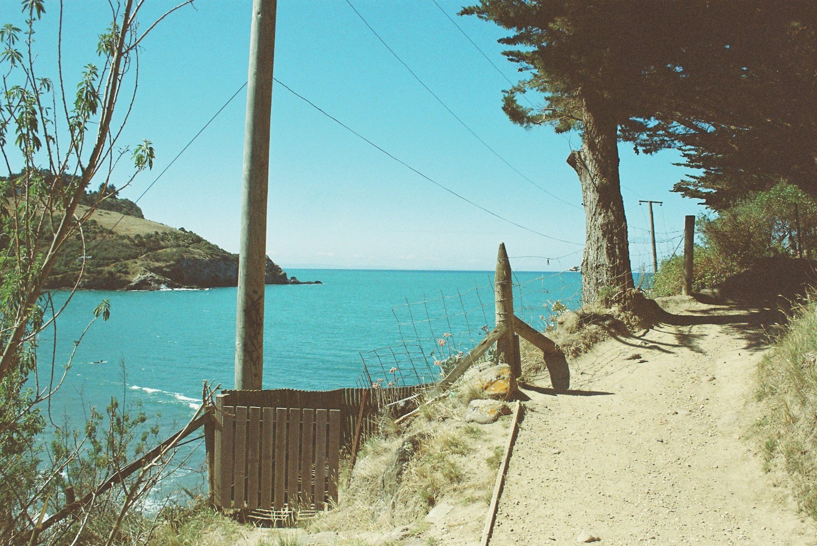 A path leading away to the right with ocean on the left 