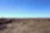 Beach and grassland