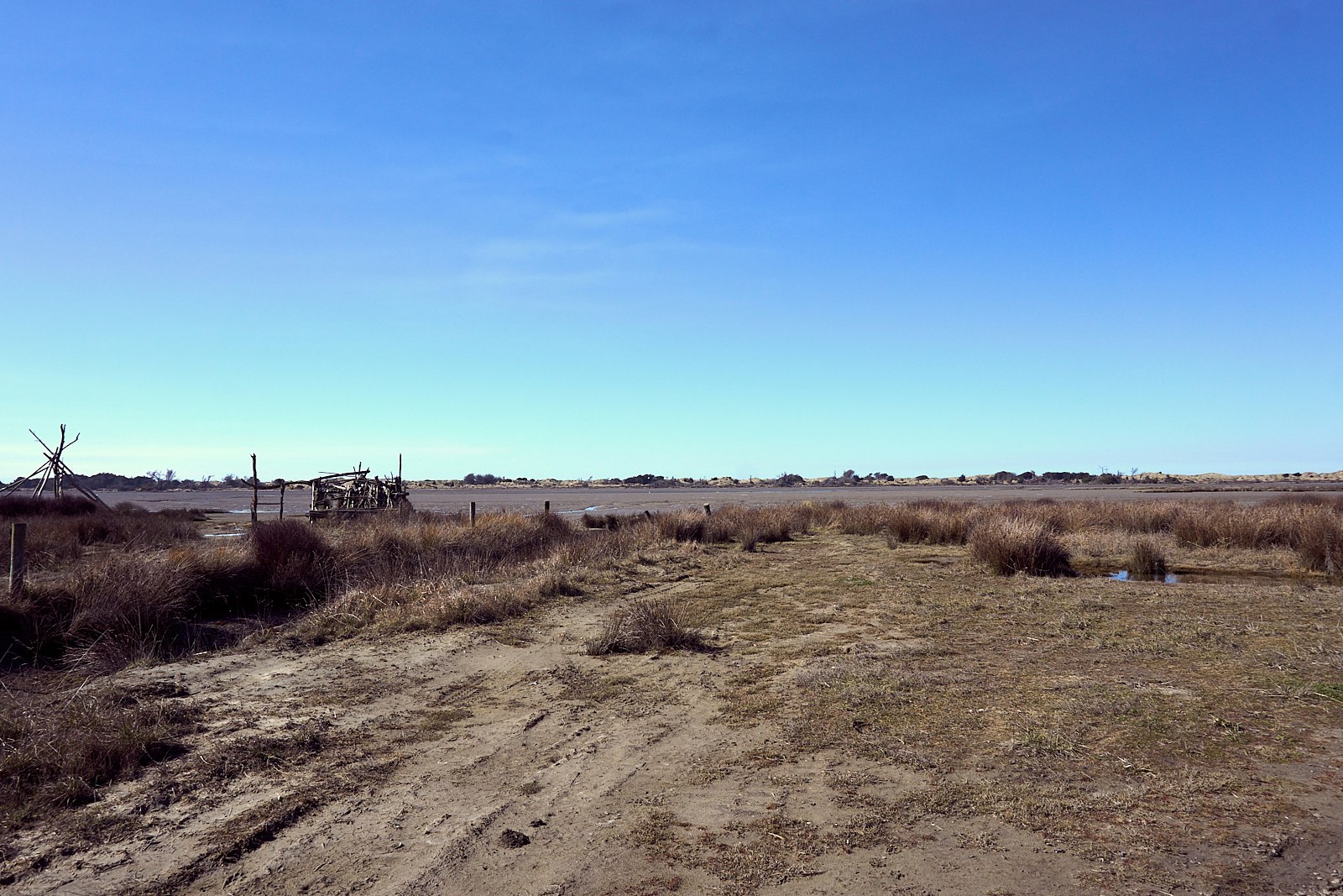 Beach and grassland