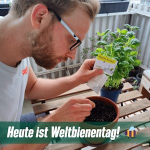 Weltbienentag 2022