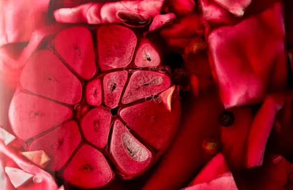 Pickled Red Cabbage — Jewish Food Society