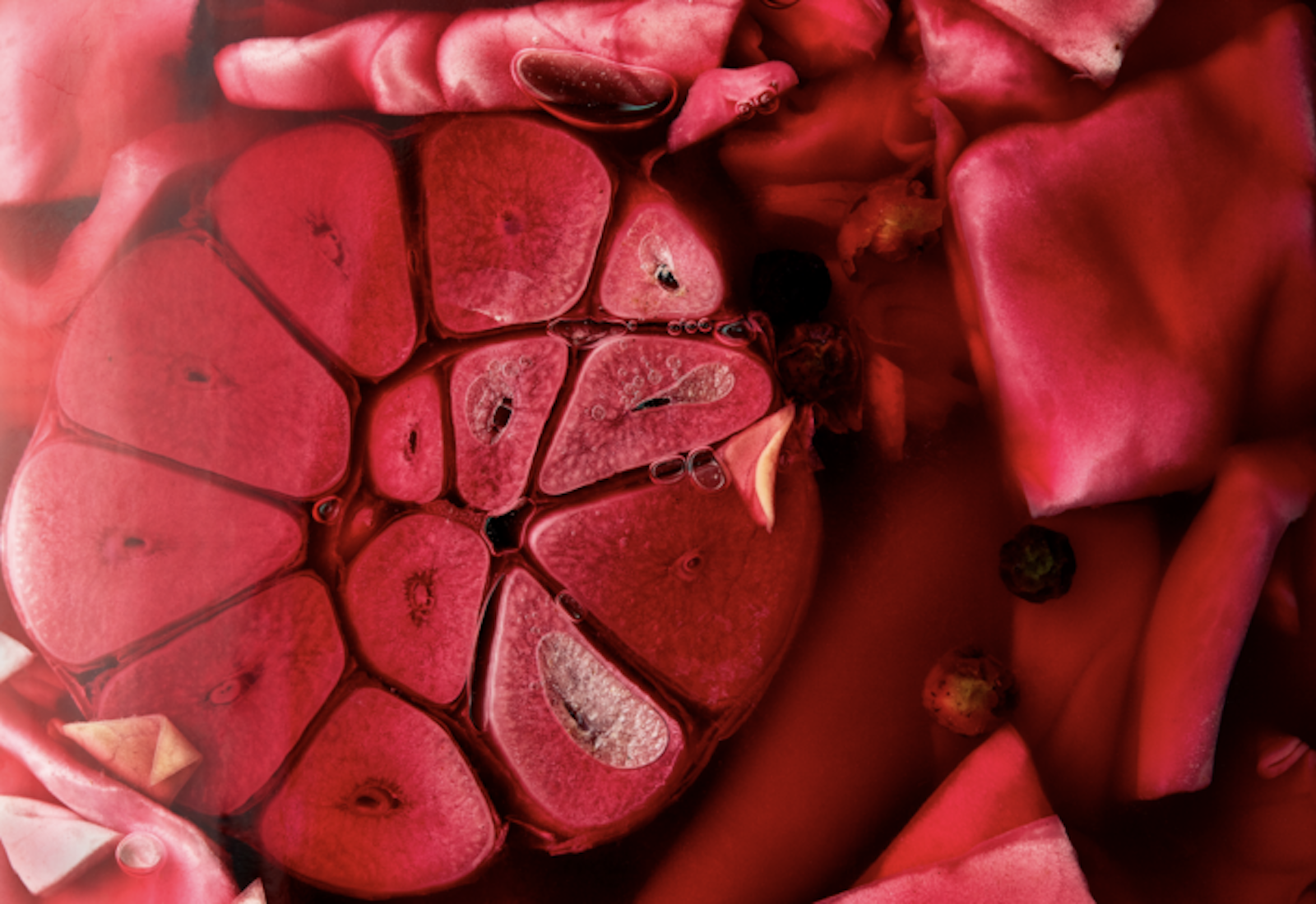 Closeup pickling jar with garlic, cabbage leaves and allspice berries in pink brine.