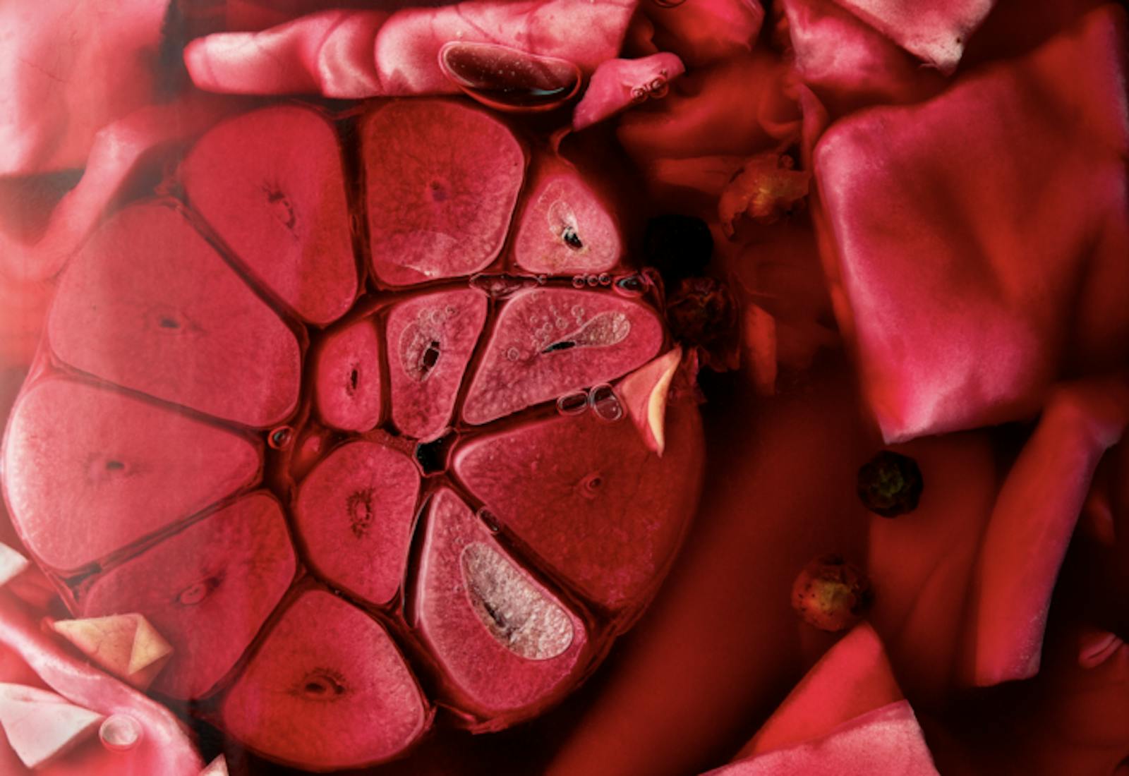 Closeup pickling jar with garlic, cabbage leaves and allspice berries in pink brine.