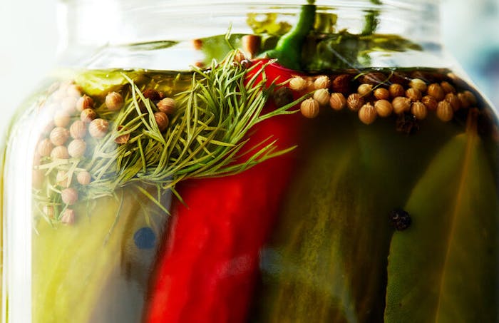 Close-up pickling jar with cucumbers, dill, chili pepper, bay leaf, peppercorns and coriander seeds. 