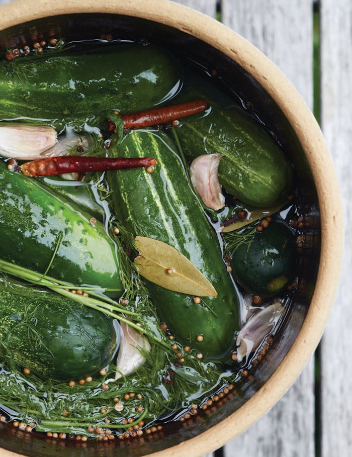 Dill pickles in brine with bay leaves, mustard seeds, chile peppers and dill in fermentation crock atop wooden surface.